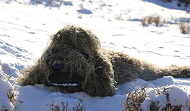 霸气！“狙击精英”雪域高原练狙杀